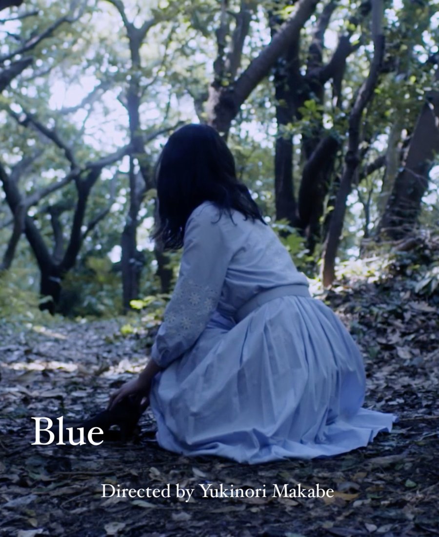 ani-bluearchive